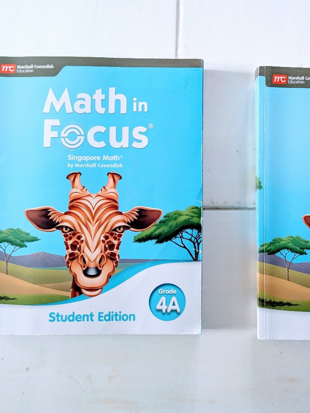 Math in Focus Grade 4A & 4B Student Edition Workbook Set Singapore Math
